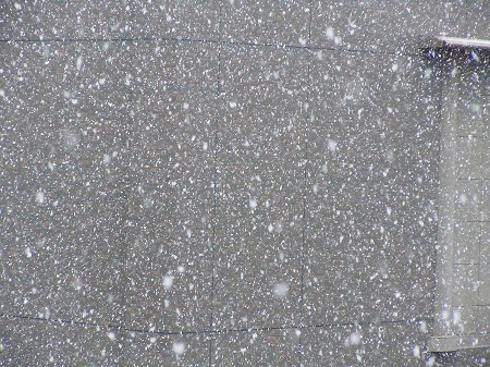 0212-d.jpg
