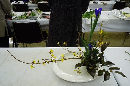 0214-10.jpg