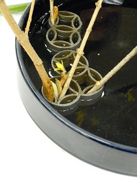 0214-5.jpg