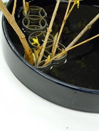 0214-7.jpg
