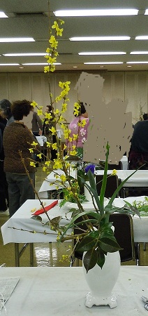 0215-1.jpg