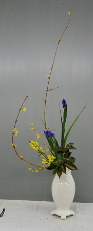 0215-4.jpg