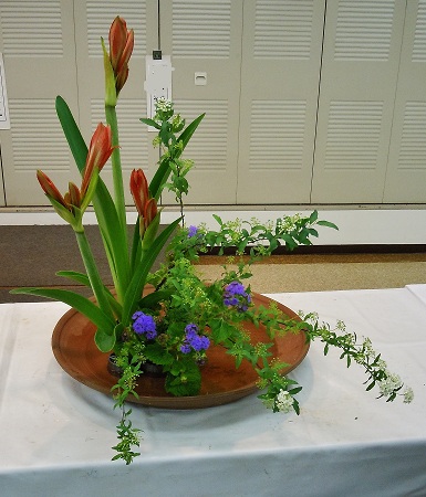 0217-3.jpg