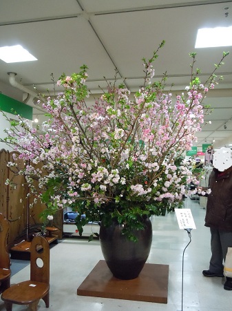 0306-2.jpg