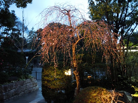 0315-5.jpg
