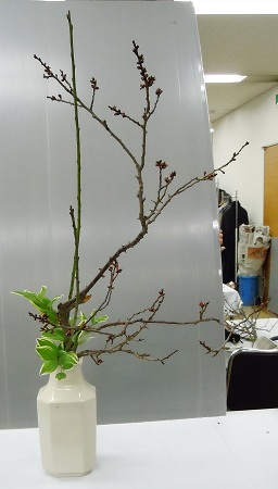 0318-10.jpg