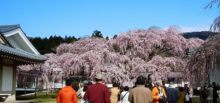 0407a-2.jpg