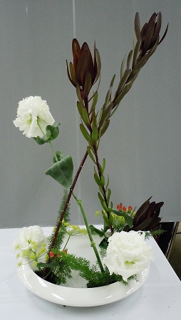 0703a-3.jpg