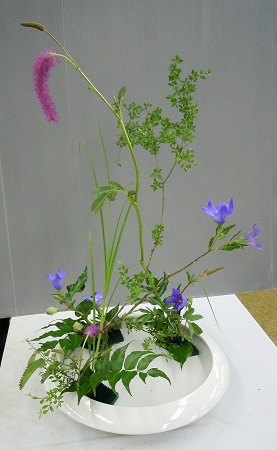 0705a-2.jpg