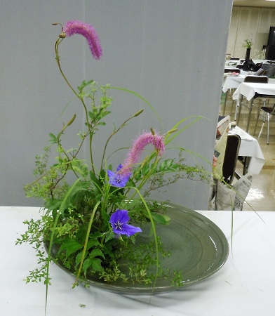 0706a-5.jpg