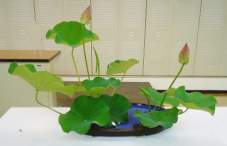 0707-1.jpg