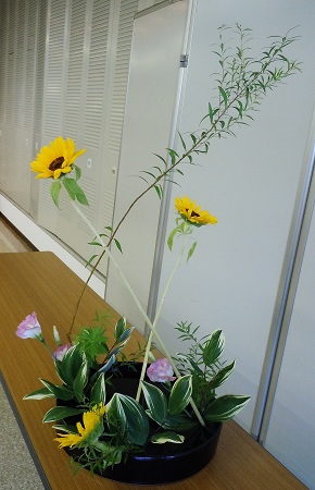 0718a-1.jpg