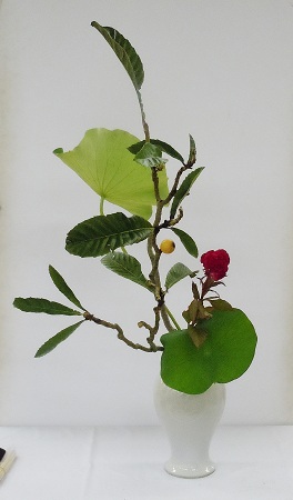 0721-8.jpg