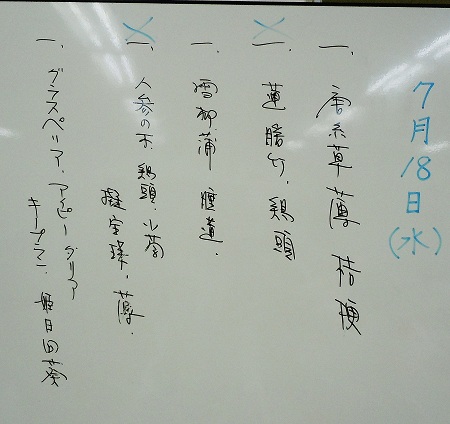 0722a-2.jpg