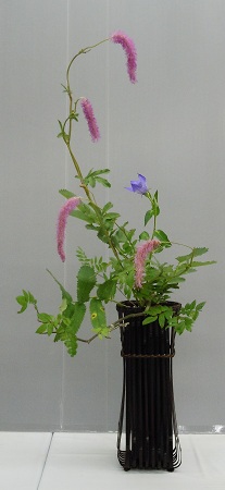 0725a-3.jpg