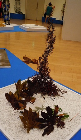 0729-4.jpg