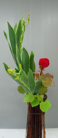 0731b-1.jpg
