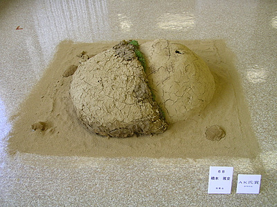 DSCN0061.JPG