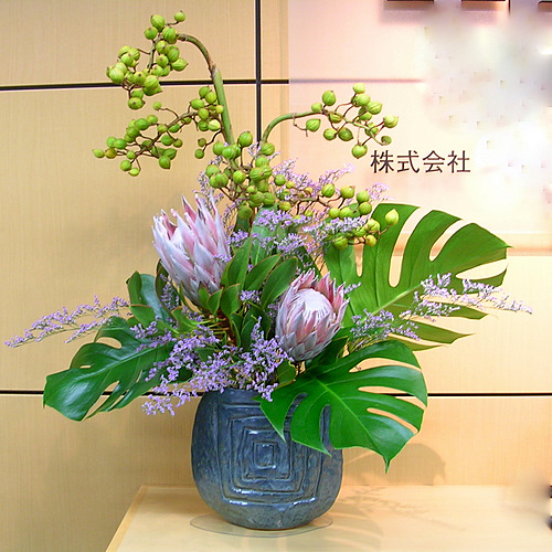 DSCN0568-1.JPG