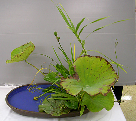 DSCN0850-1.JPG