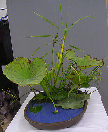DSCN0851.JPG