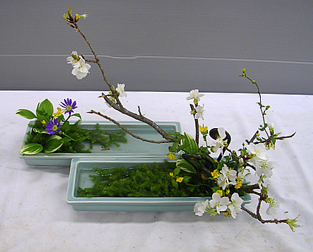 DSCN2301.JPG