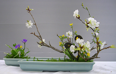 DSCN2302.JPG