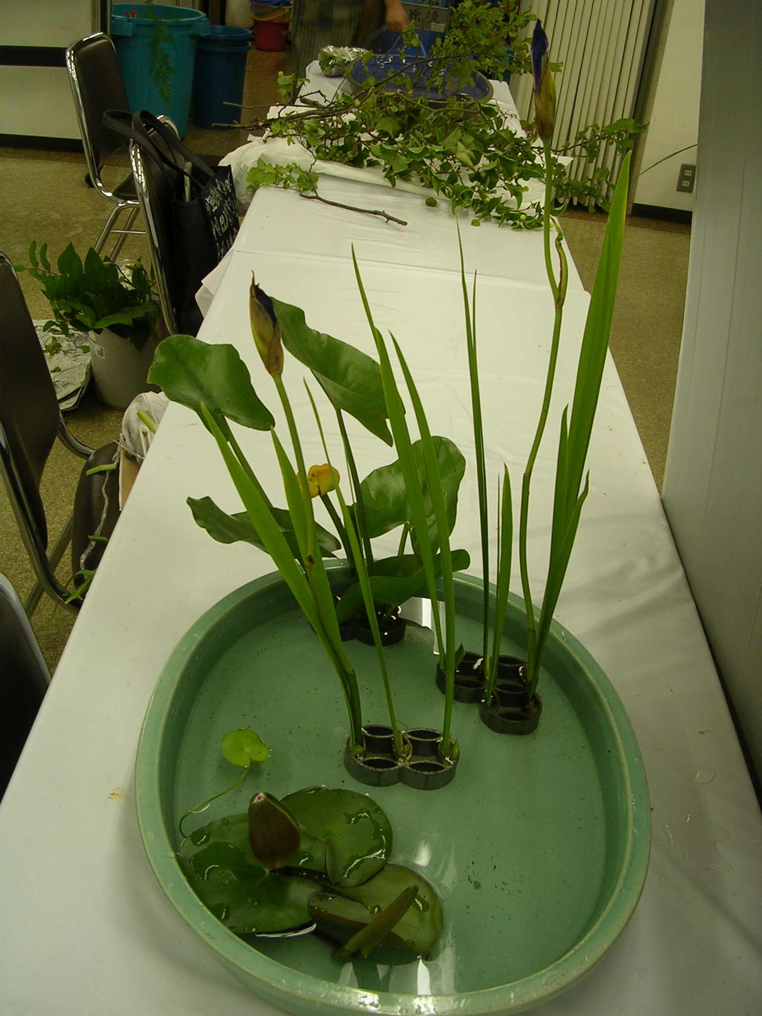 DSCN6148.JPG