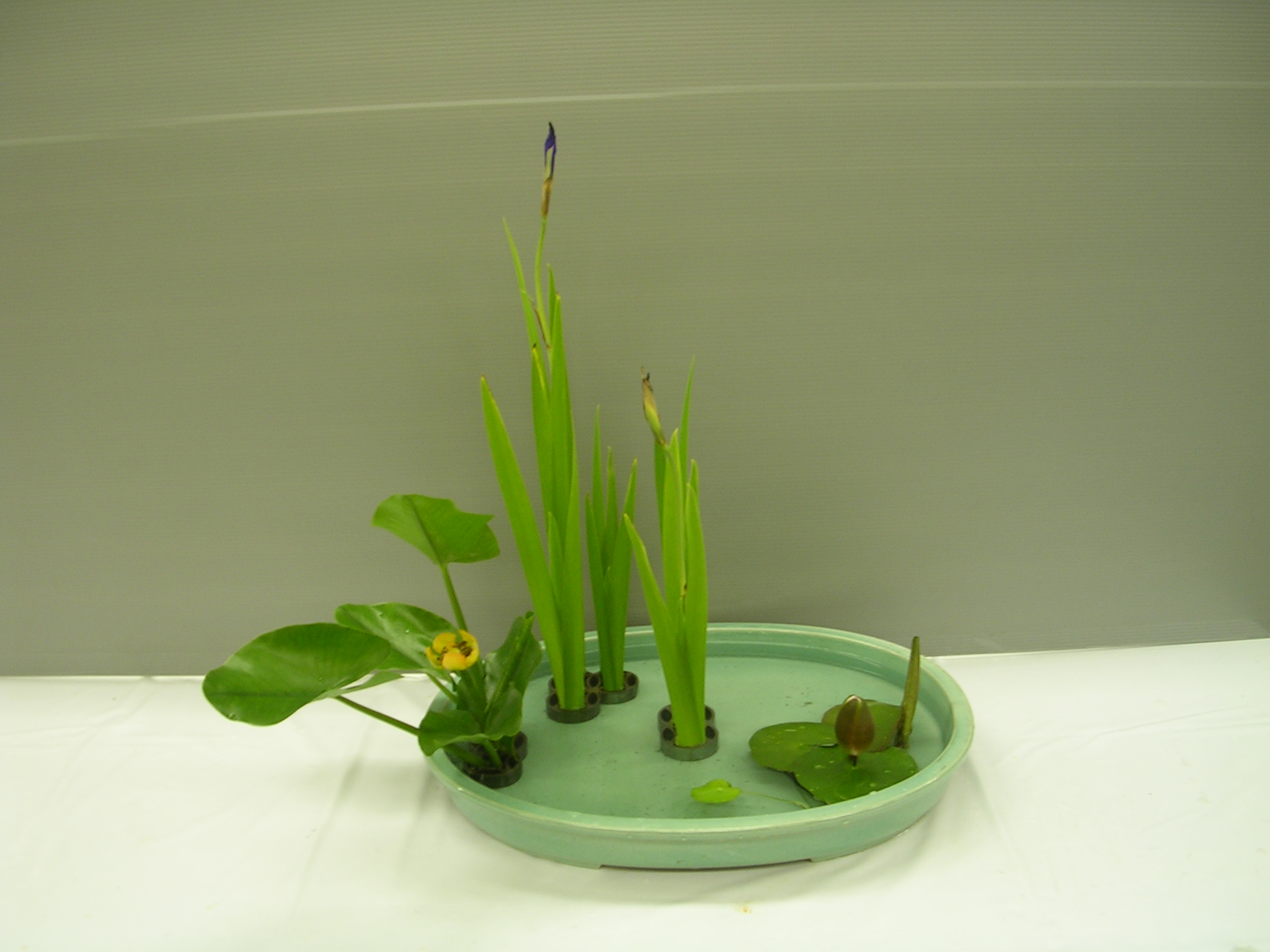 DSCN6149.JPG