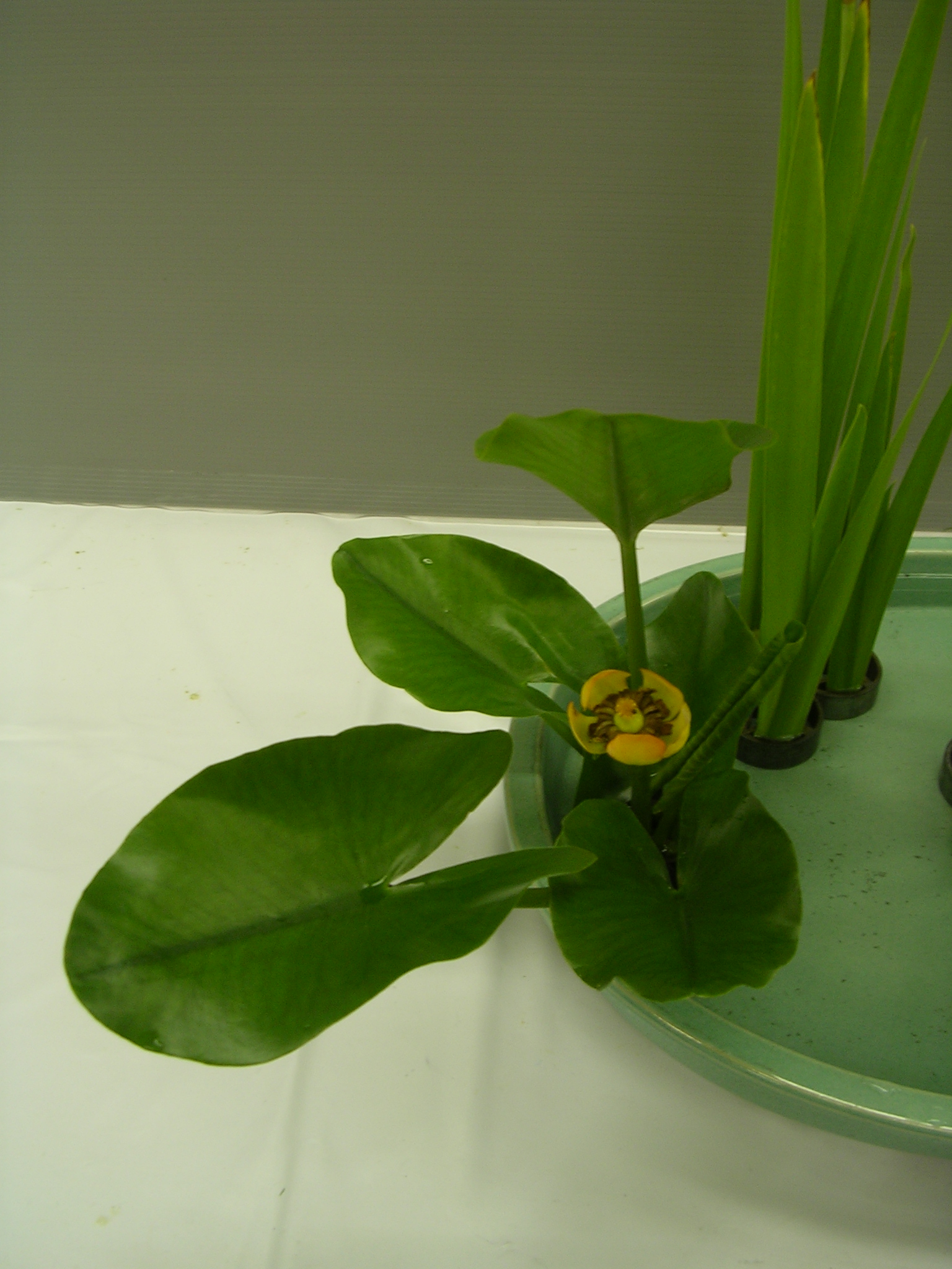 DSCN6151.JPG