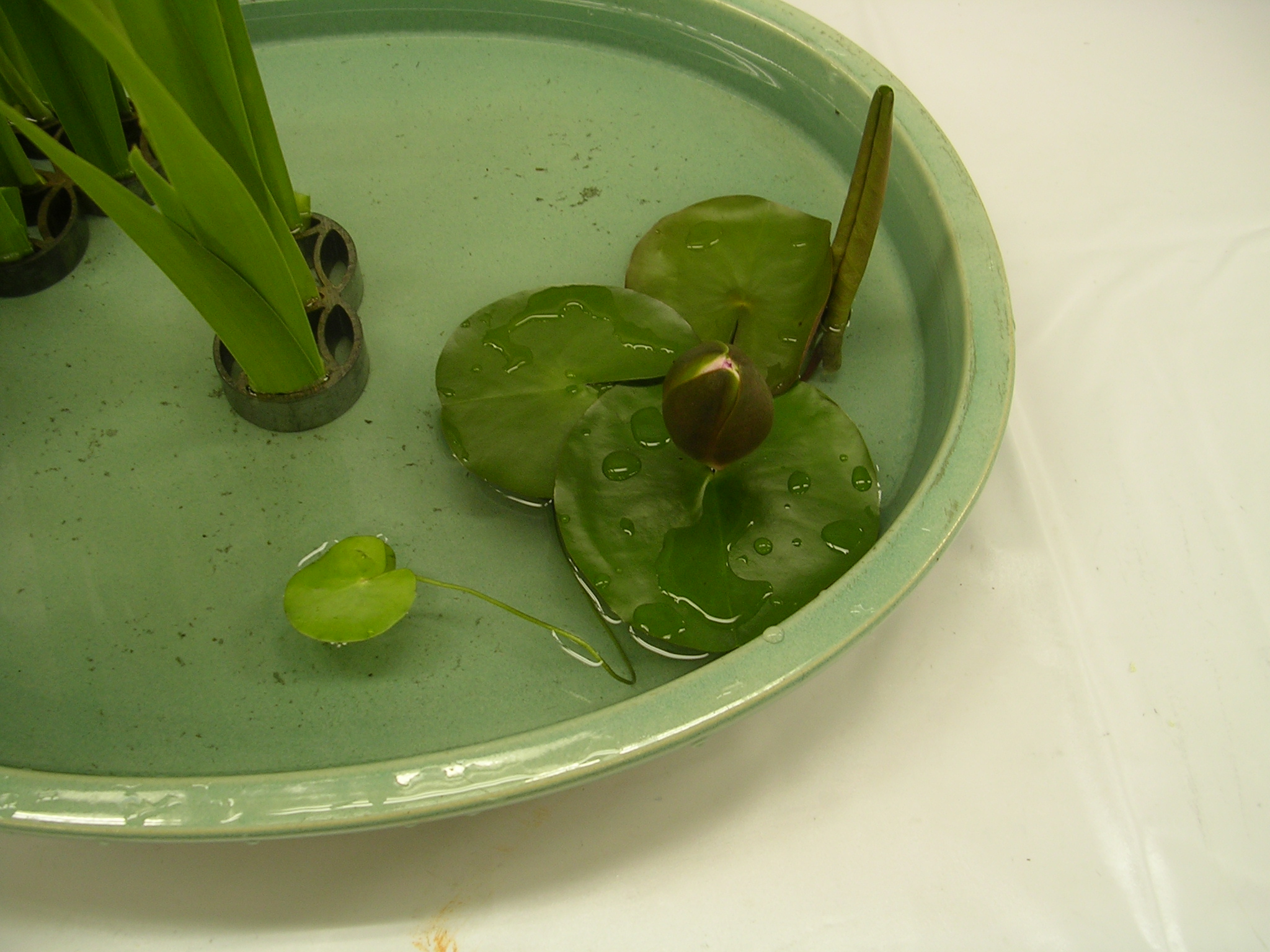 DSCN6152.JPG