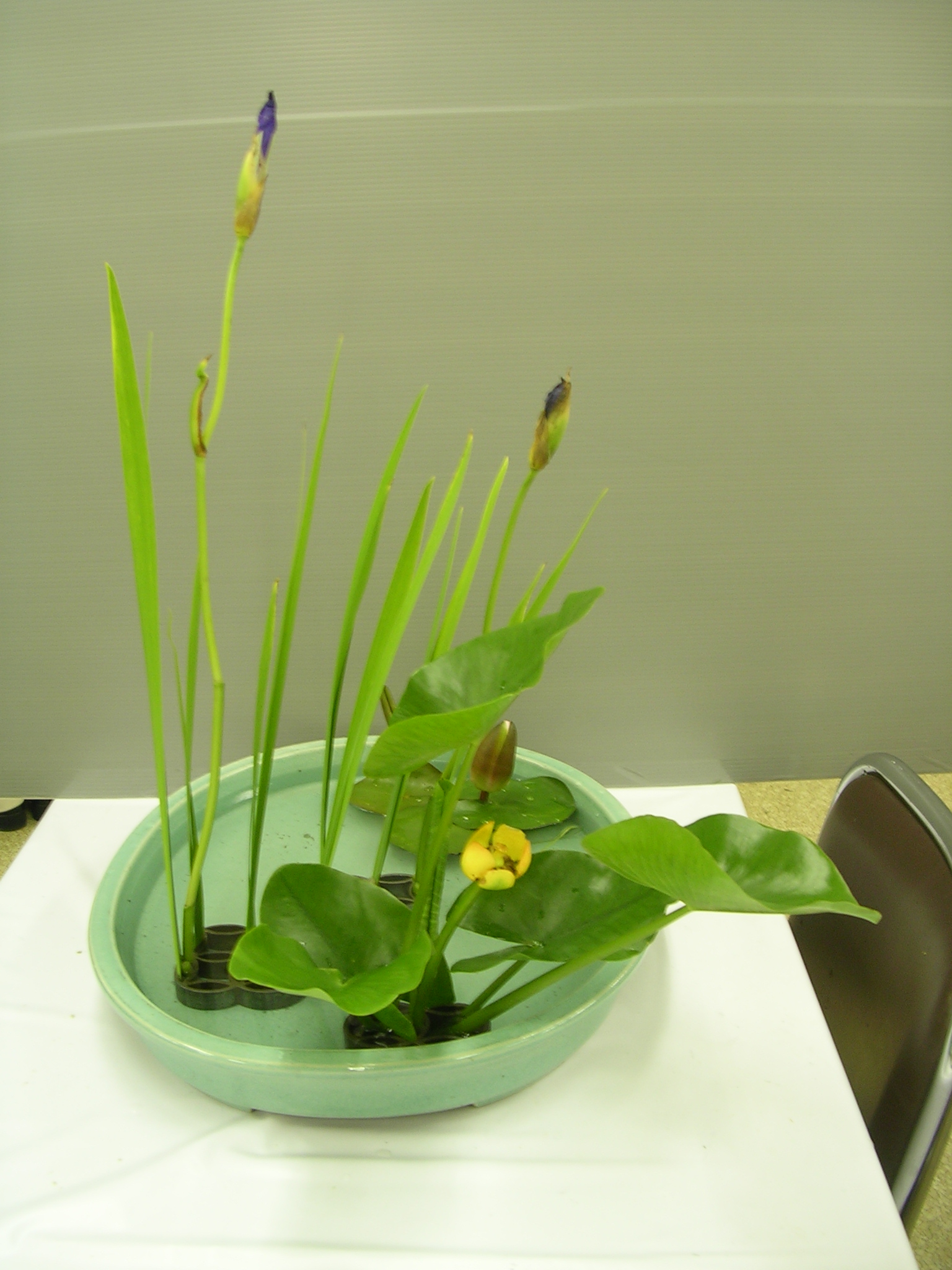 DSCN6153.JPG
