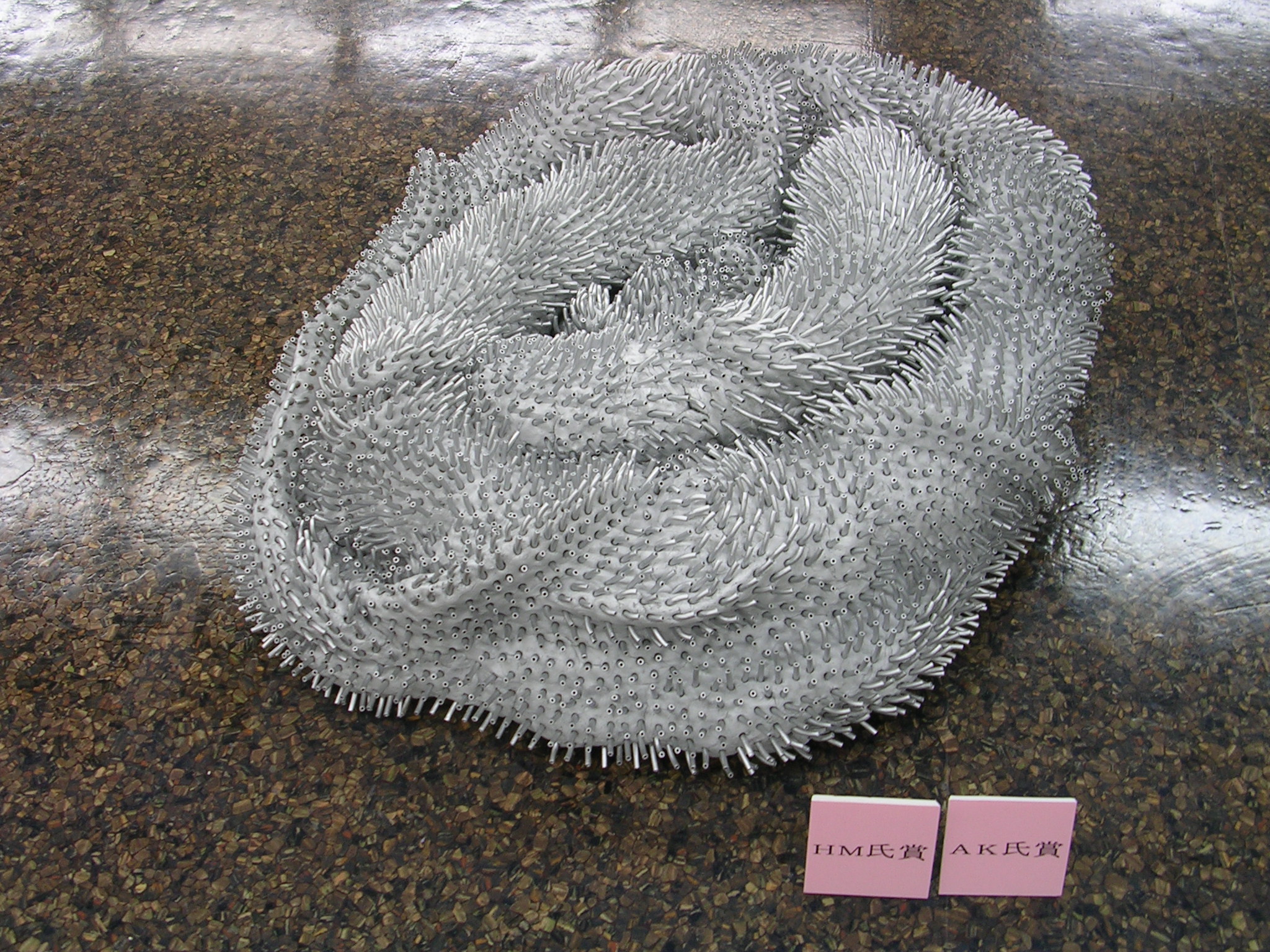 DSCN6434.JPG