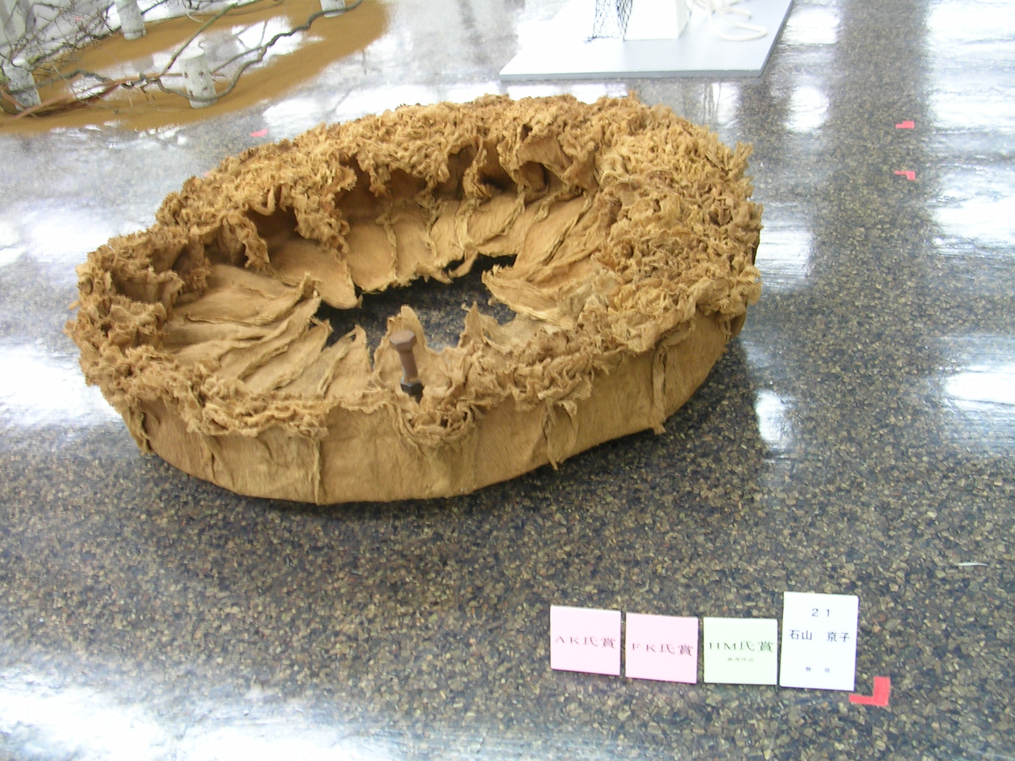 DSCN6439.JPG