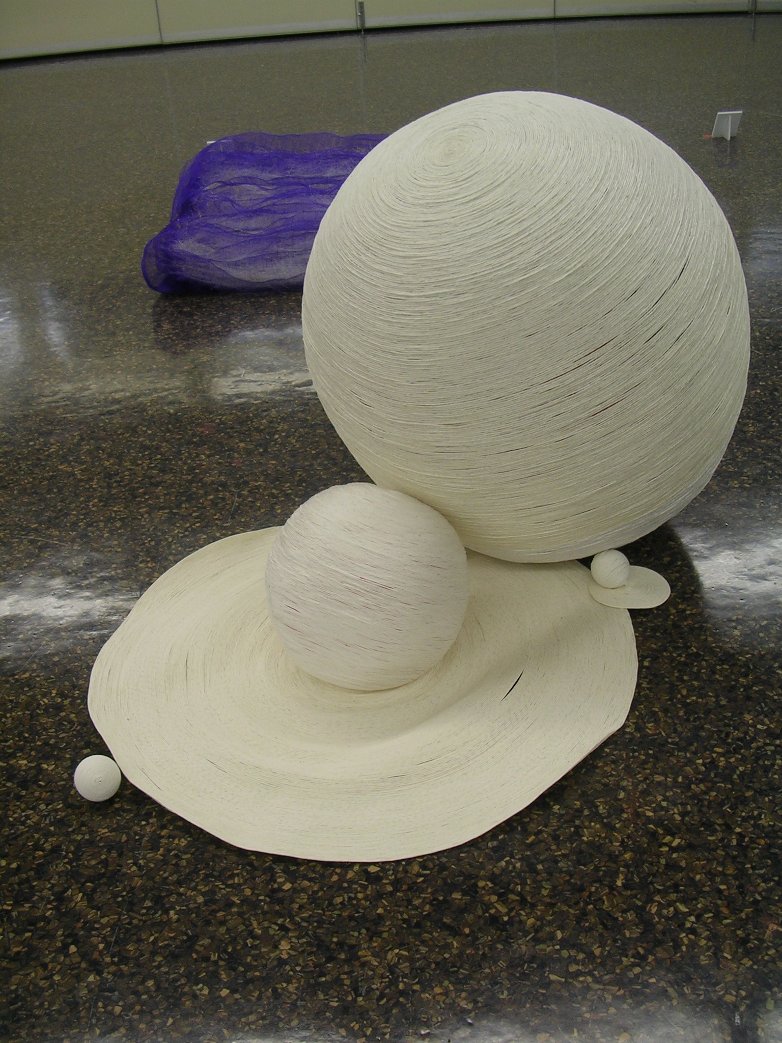 DSCN6512.JPG