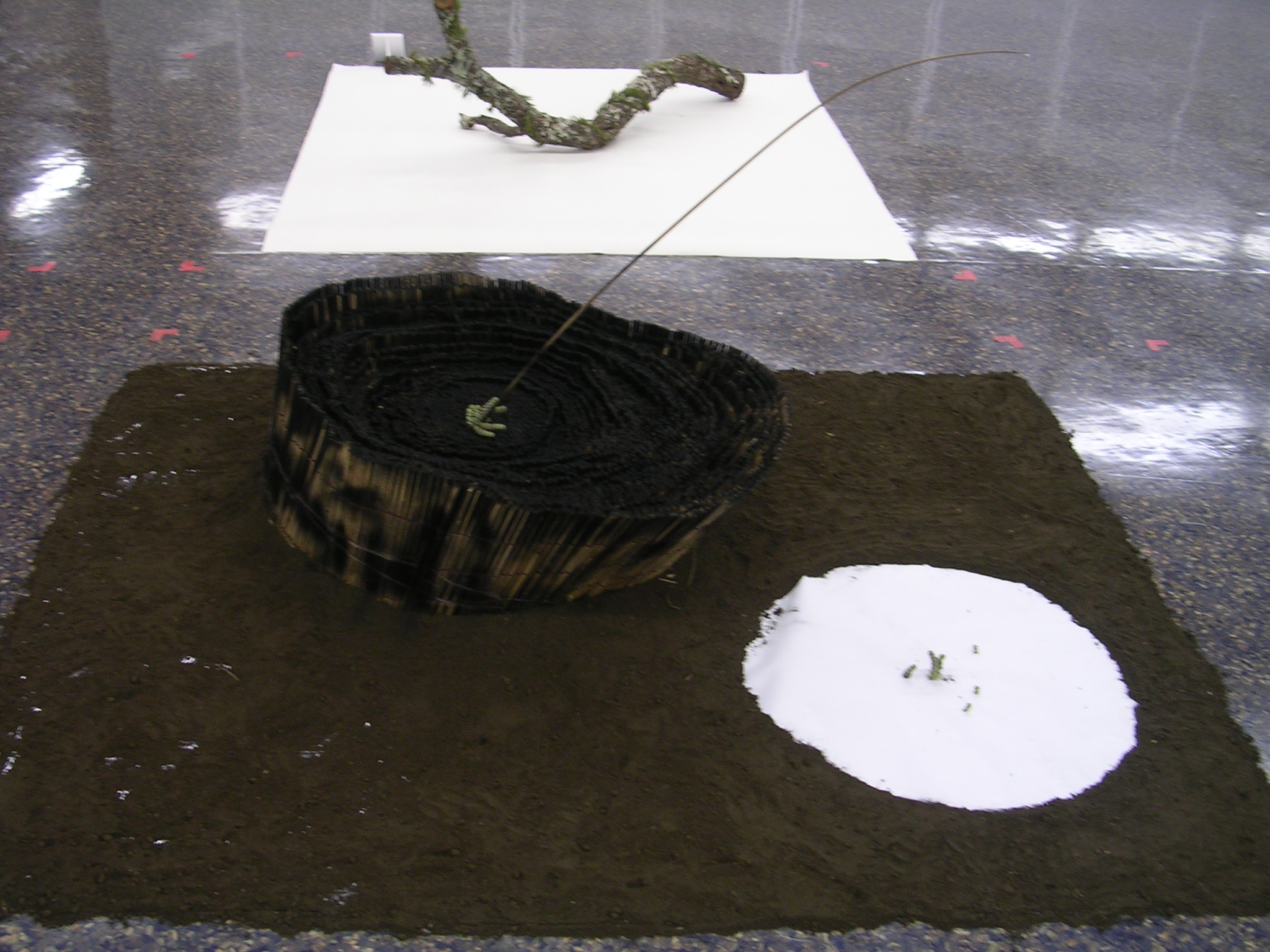 DSCN6522.JPG