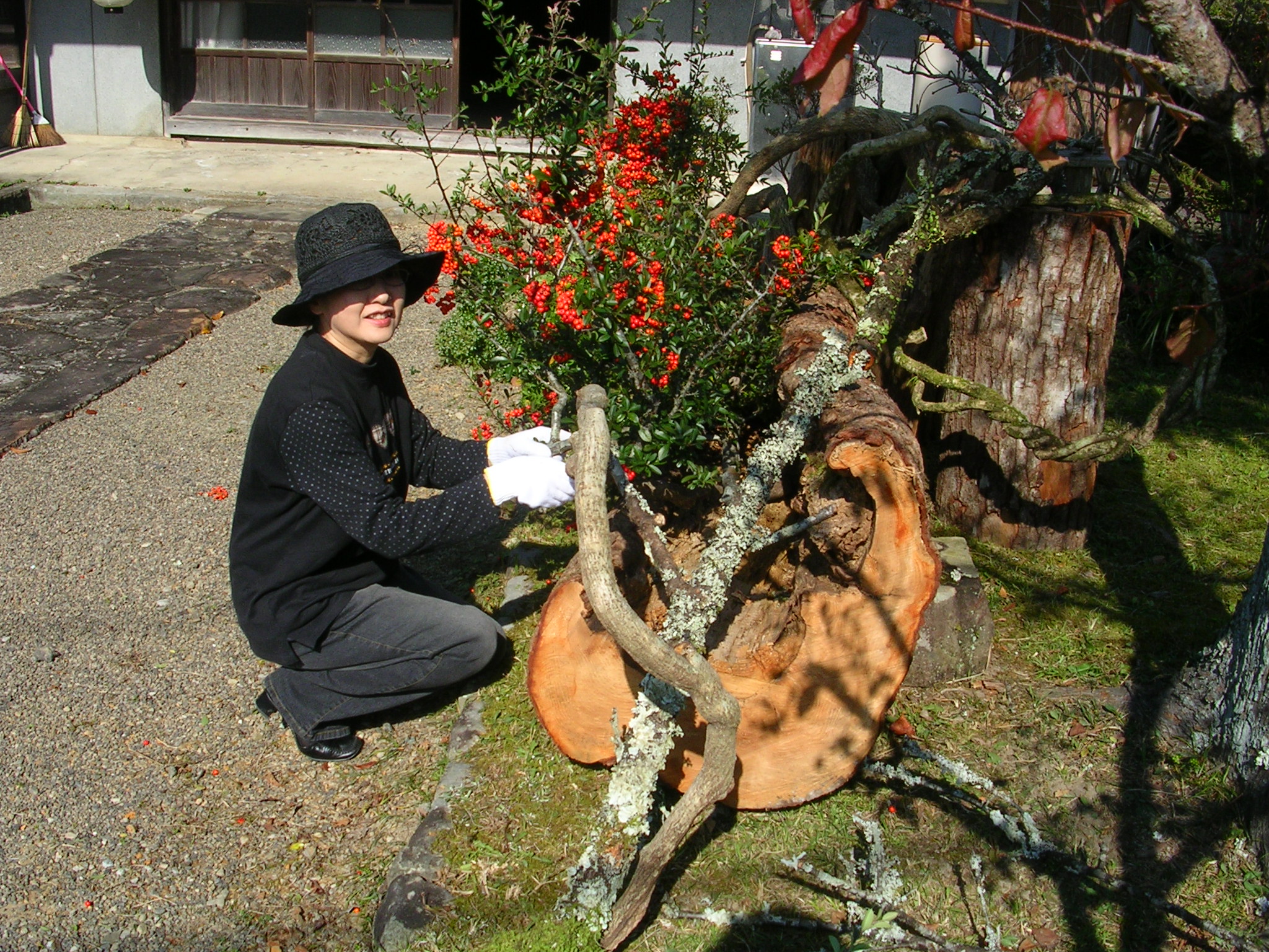 DSCN7668.JPG