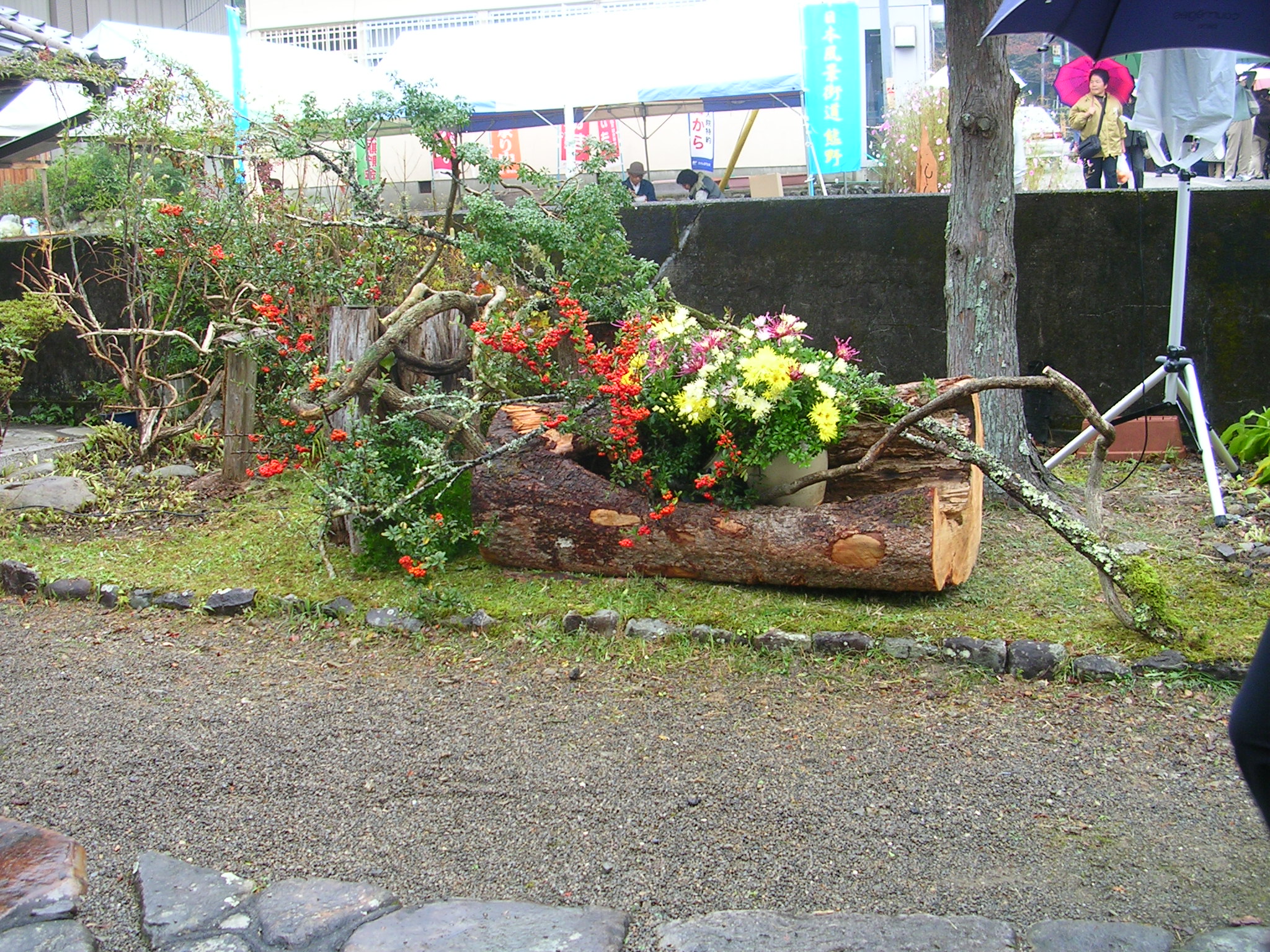 DSCN7708.JPG