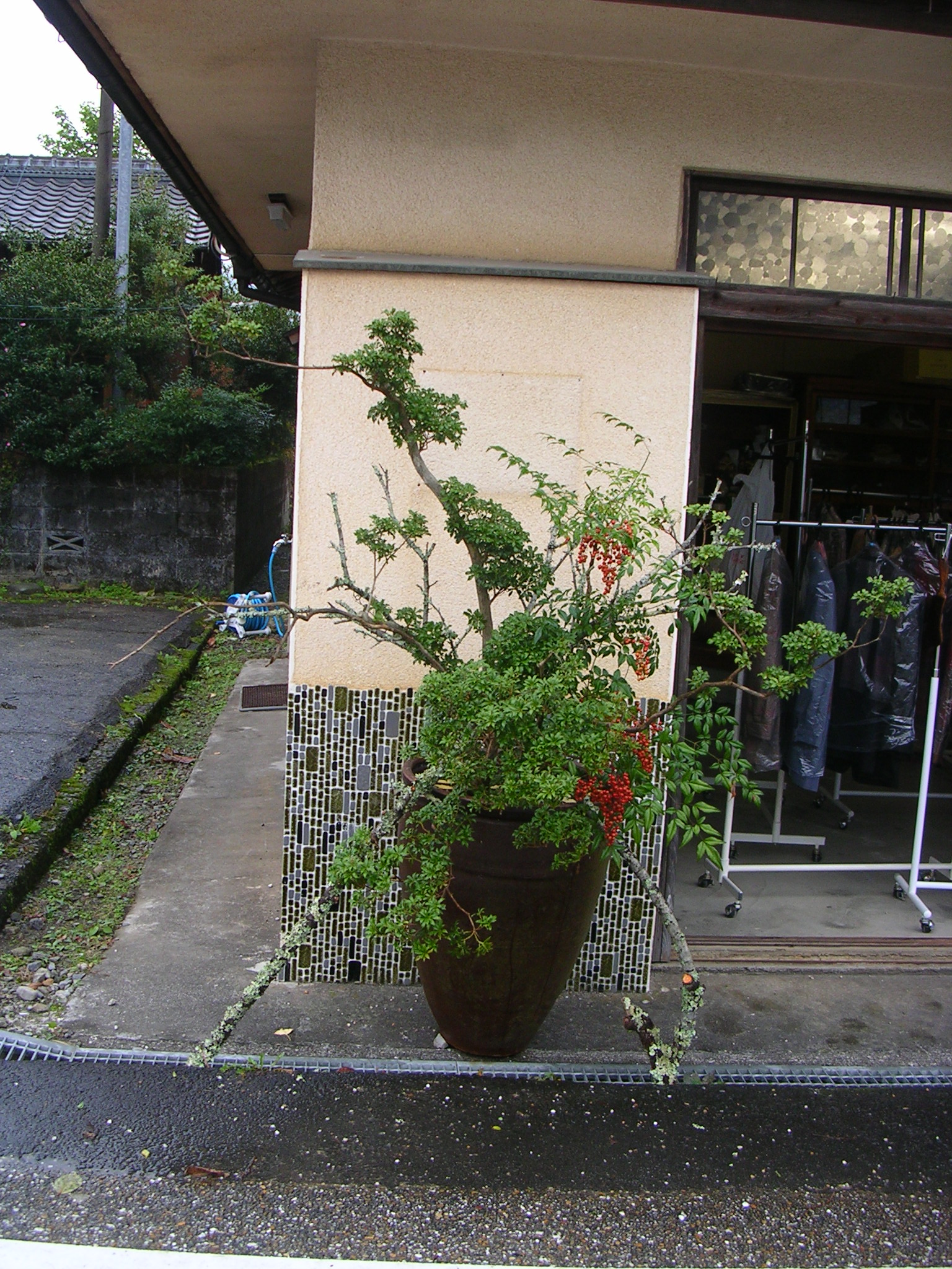 DSCN7735.JPG