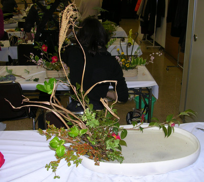 DSCN8500.JPG