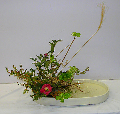 DSCN8509.JPG
