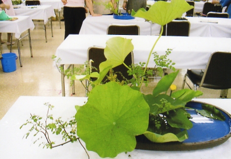 img021.jpg